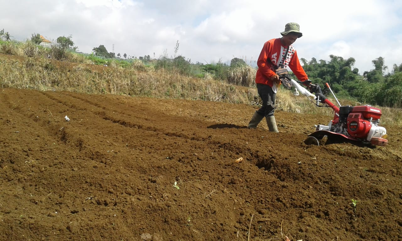 Foto Artikel