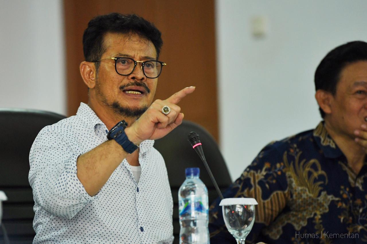 Foto Artikel
