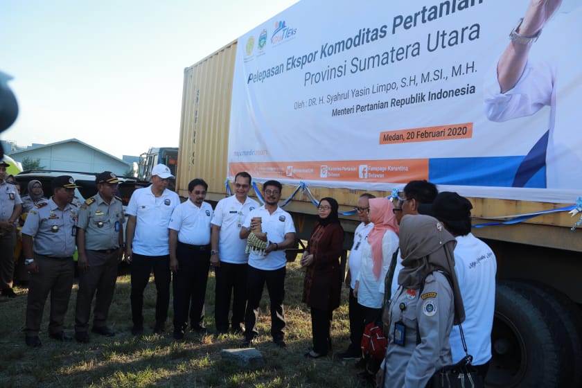 Foto Artikel