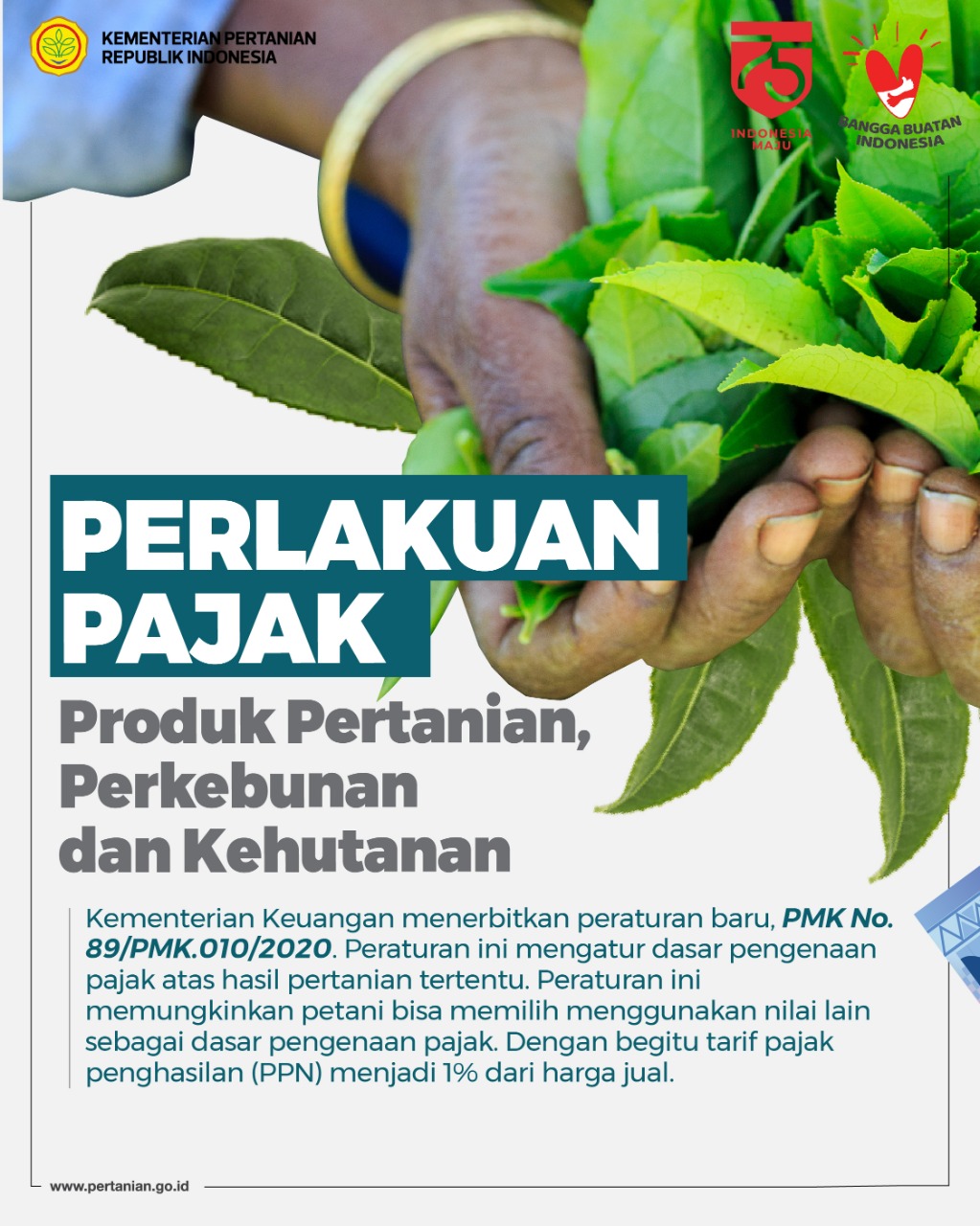 Foto Artikel