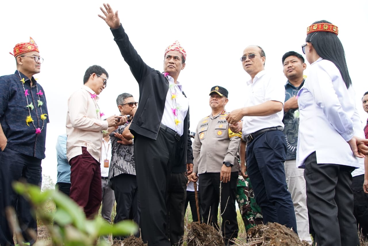 Foto Artikel