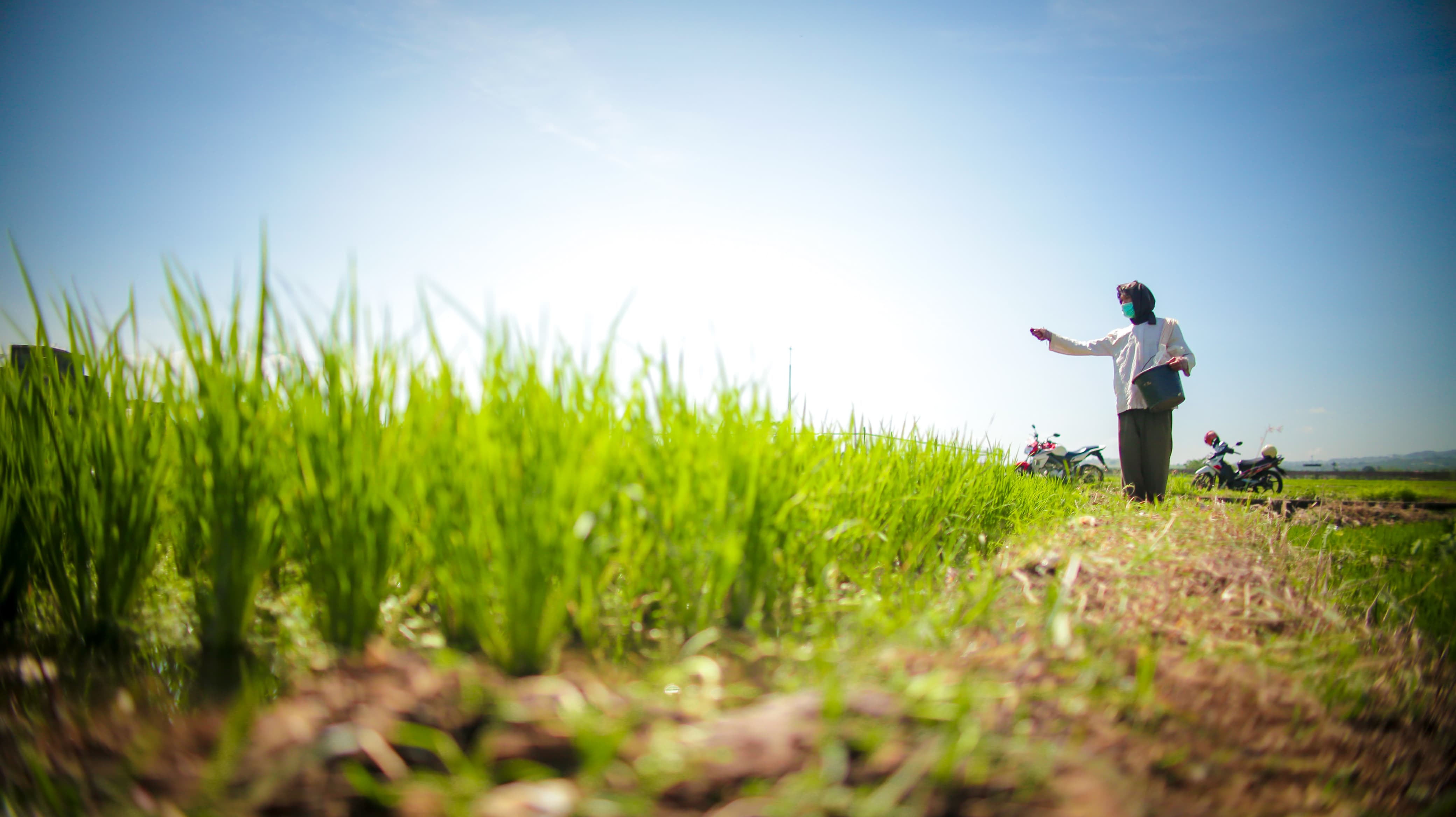 Foto Artikel